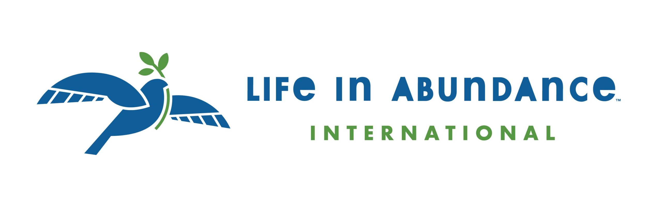 Life In Abundance International Logo